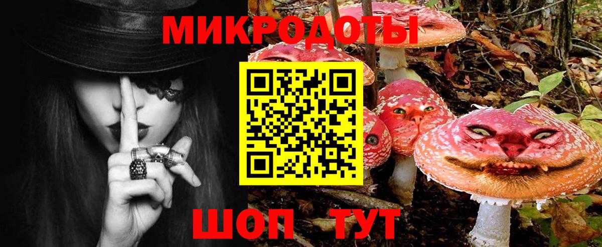 Галлюциногенные грибы GOLDEN TEACHER  Вход с VPN  Хасавюрт 